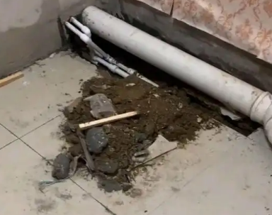 达孜卫生间漏水检测哪家好