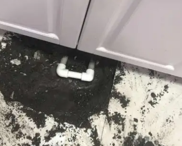 达孜查漏水哪家好