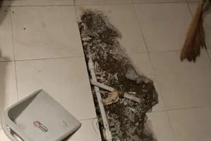 达孜卫生间漏水检测电话